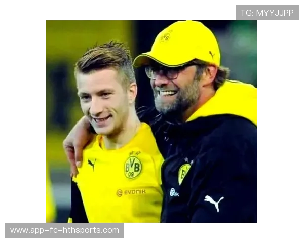 多特罗伊斯传球视野开阔