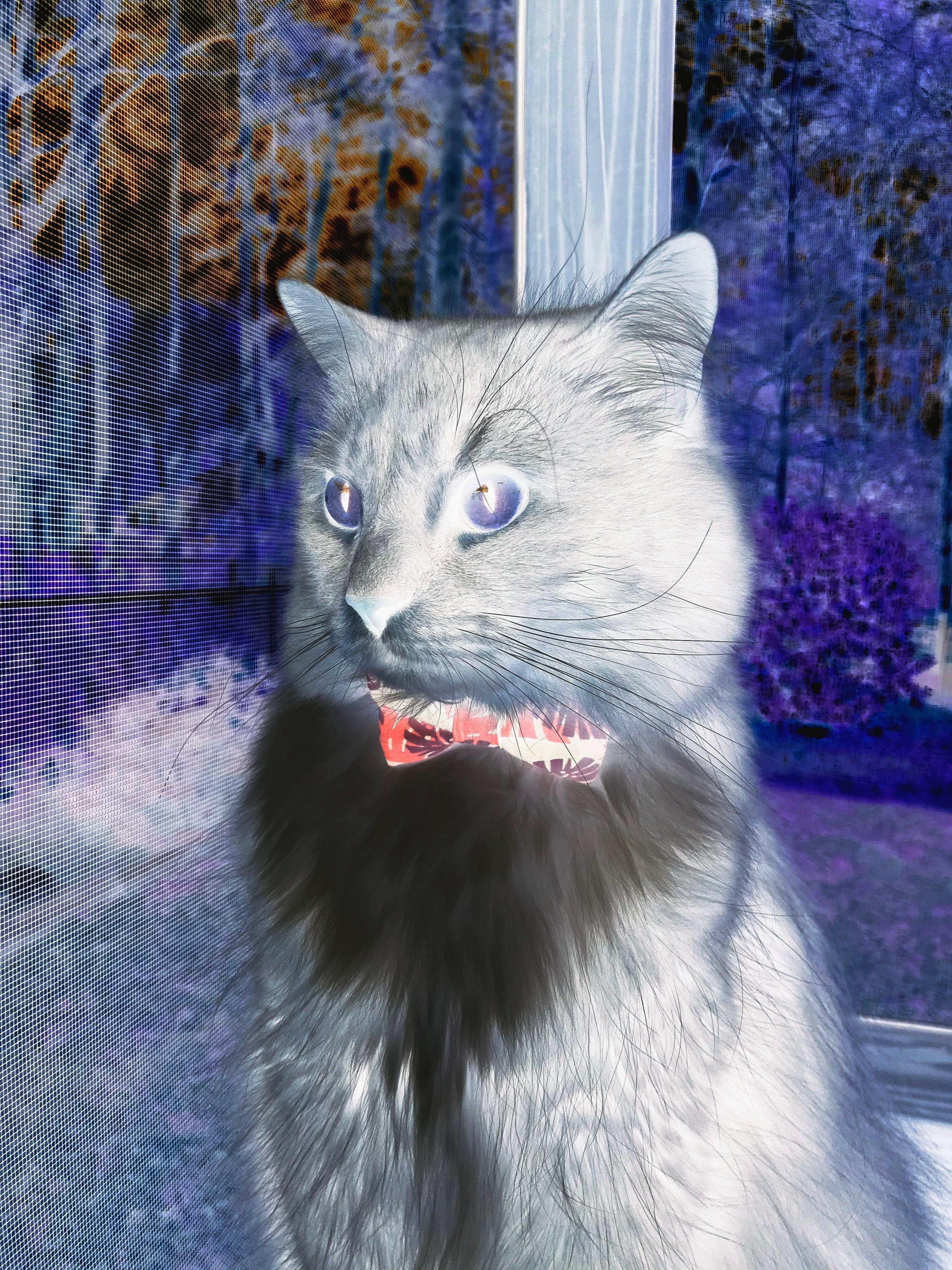 中国篮球运动员技术动作效率提升研究，篮球运动员专项技能特征