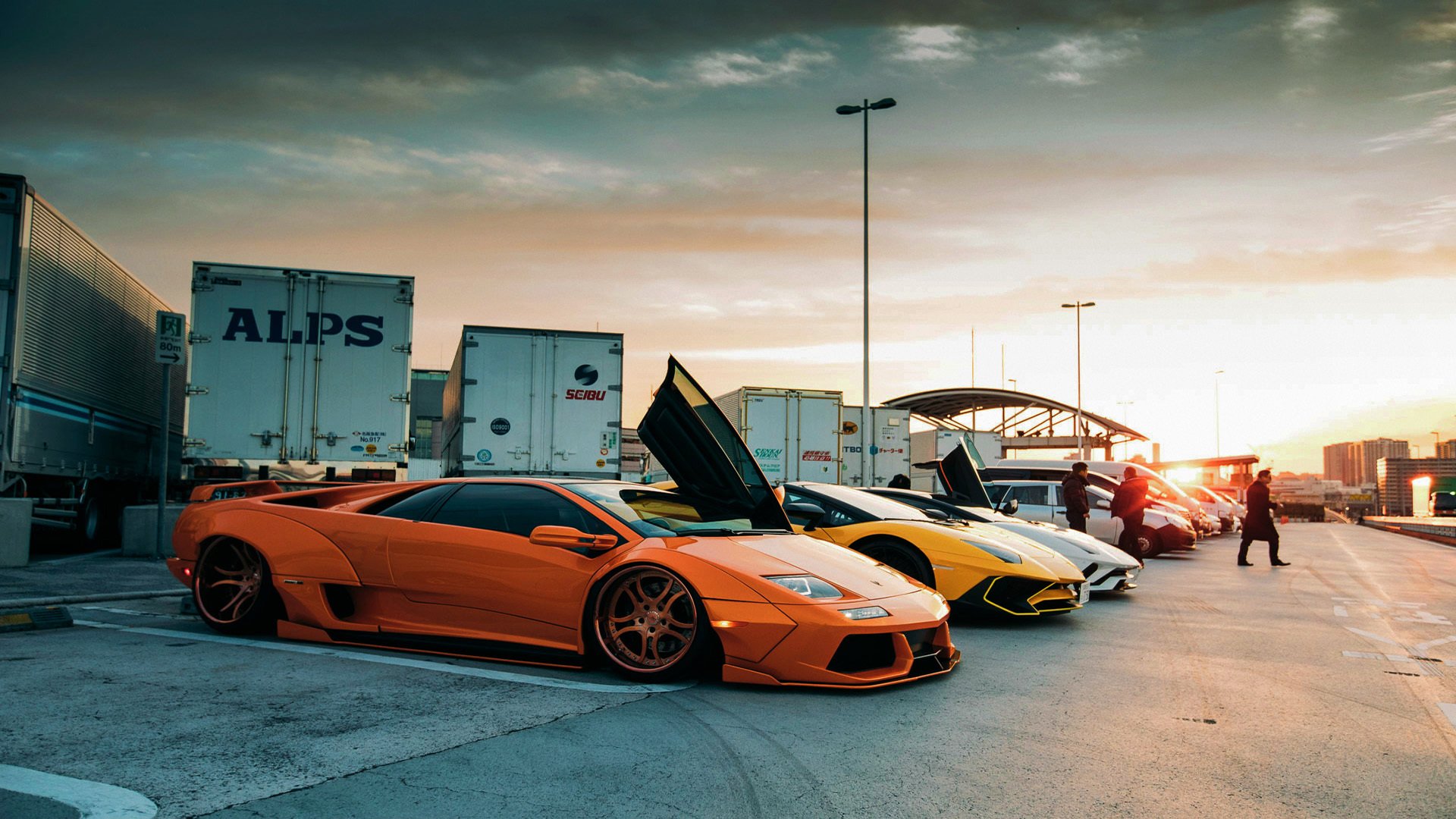 体育教育专业课程体系结构优化与能力匹配研究，体育教育专业的课程体系