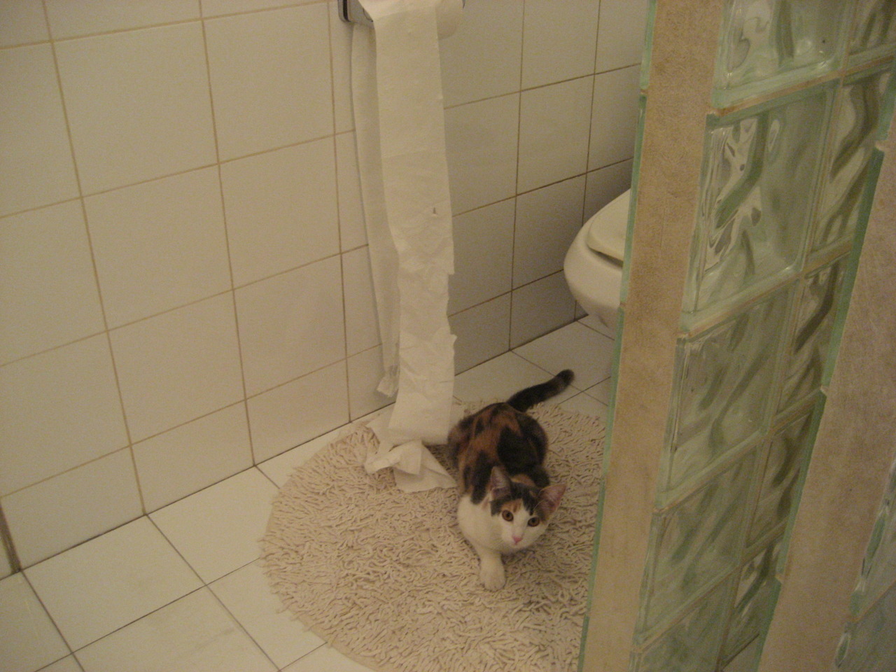 体育赛事市场发展趋势分析与对策，体育赛事市场发展趋势分析与对策论文