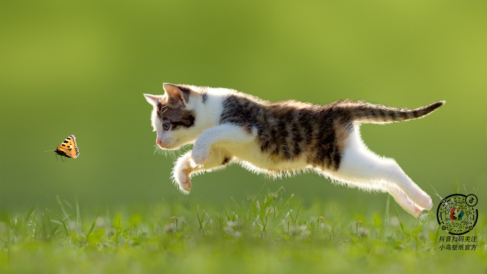 国足球员跑动距离统计报告，足球运动员跑步距离怎么算的