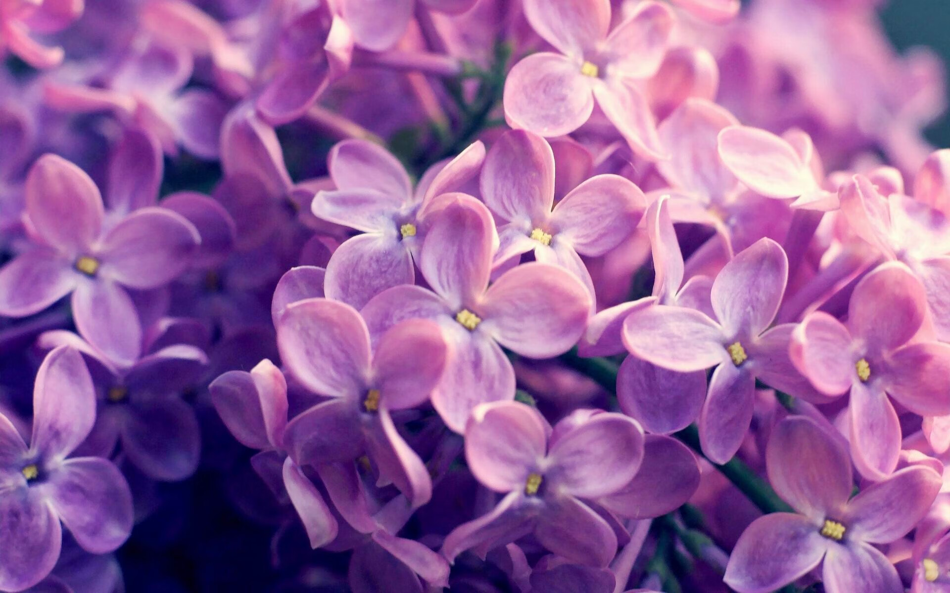 女子网球红土赛中国小将冲进四强，网球的红土是什么性质