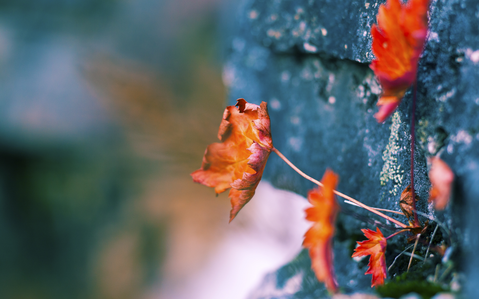 华体会平台-意甲VAR系统语义模型在争议判罚中的应用研究，意甲var系统语义模型在争议判罚中的应用研究