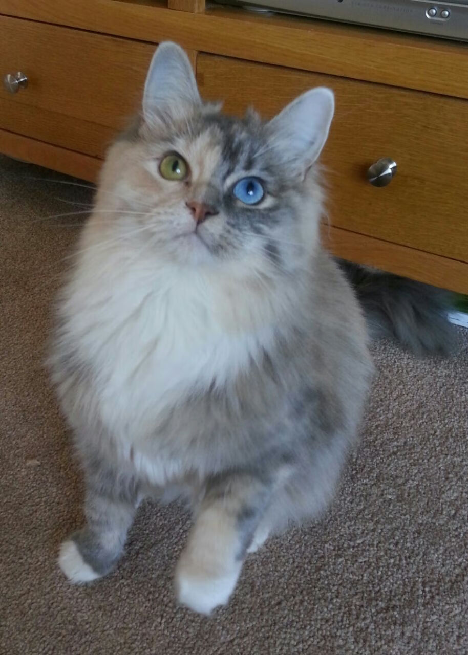 运动员焦点：球员的日常训练与生活揭秘，职业球员日常训练