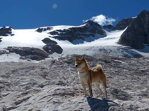 华体会在线下载-主帅换人反超时机把握对球队士气的即时影响，主帅更迭、失去最佳拍档