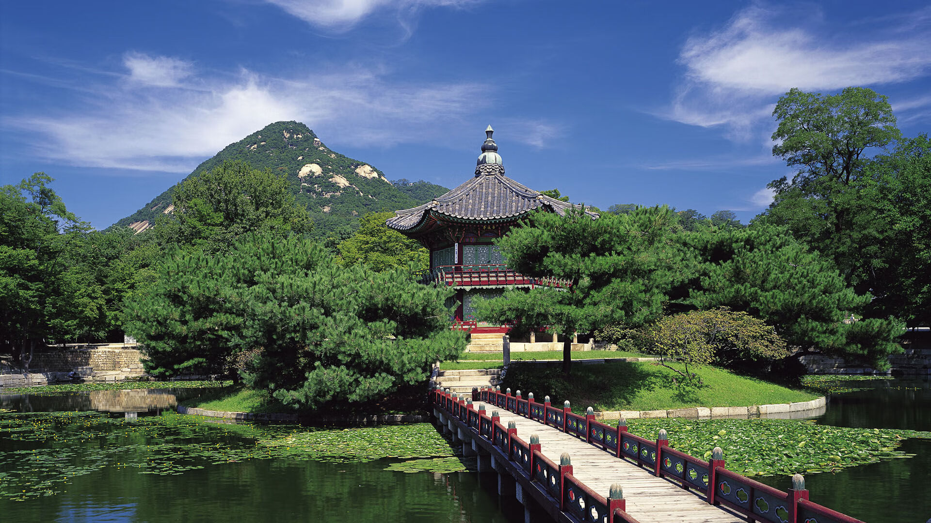 利雅得新月退出2025沙特超级杯，利雅得新月特谢拉