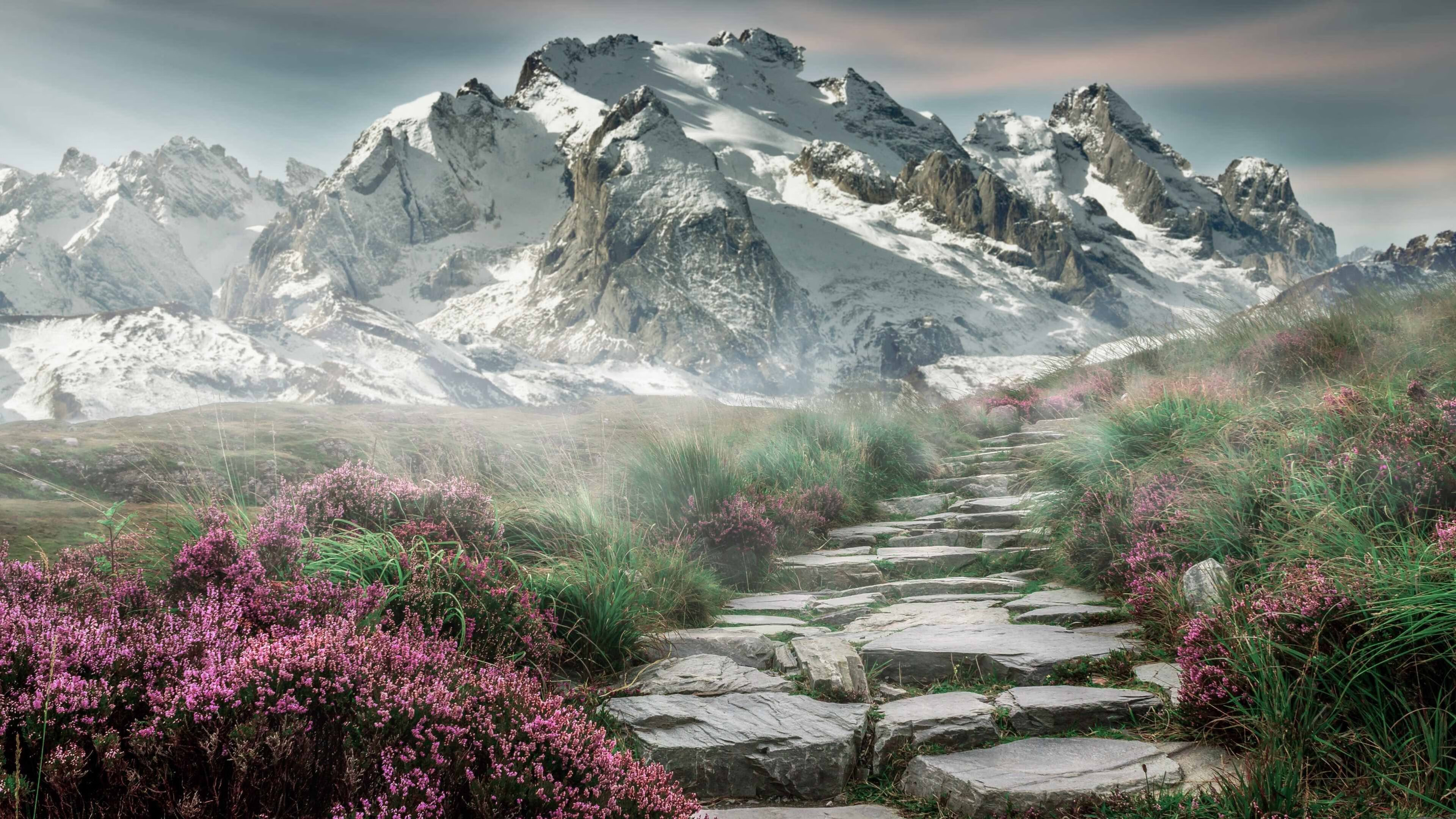 华体会在线-德国男将蛙泳项目稳定输出，德国泳装比赛