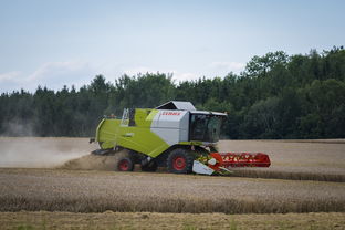 华体会登陆-田径跨项目交流营探索协同训练新方式，田径跨栏的动作讲解