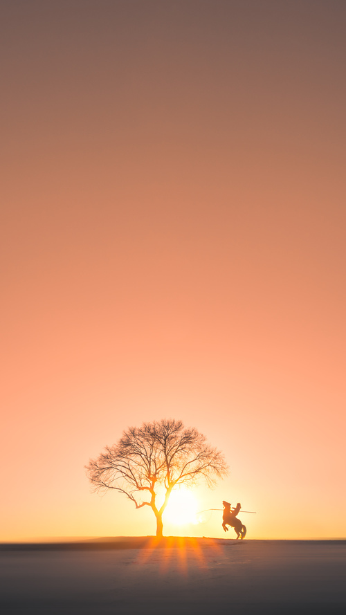 美国乒乓队未来展望:如何培养更多的顶级年轻球员,美国乒乓球运动员