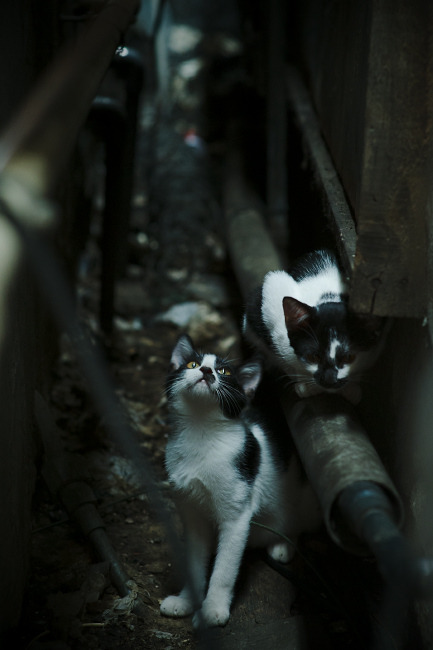 C罗总结本赛季称团队配合最为关键，c罗配合搭档