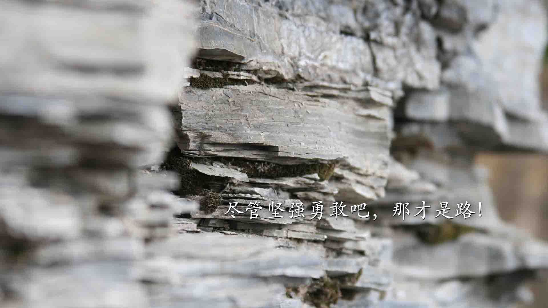 丁俊晖助阵斯诺克公益推广日，丁俊晖做斯诺克反败为胜视频