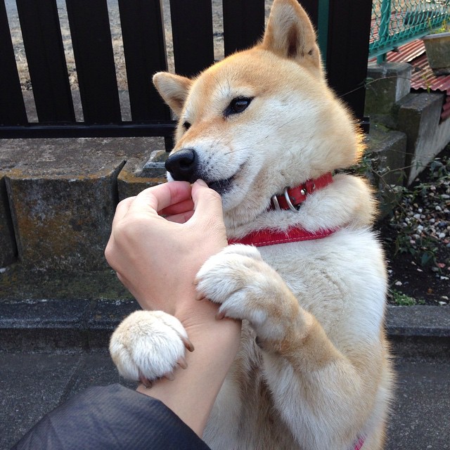 中乙联赛全面引入球员伤病报告系统加强健康监控，中乙队伍2021