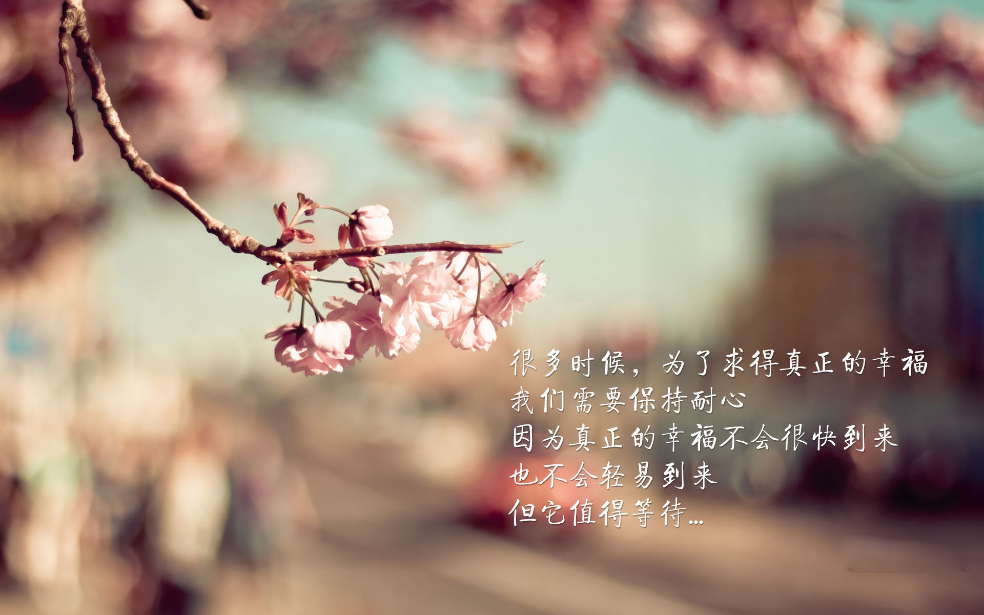 中小学篮球注重训练趣味性提高学生参与度，中小学生篮球教学