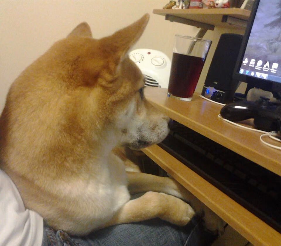 球迷组织举办观赛交流活动打造社区式观赛新体验，观看球赛心得