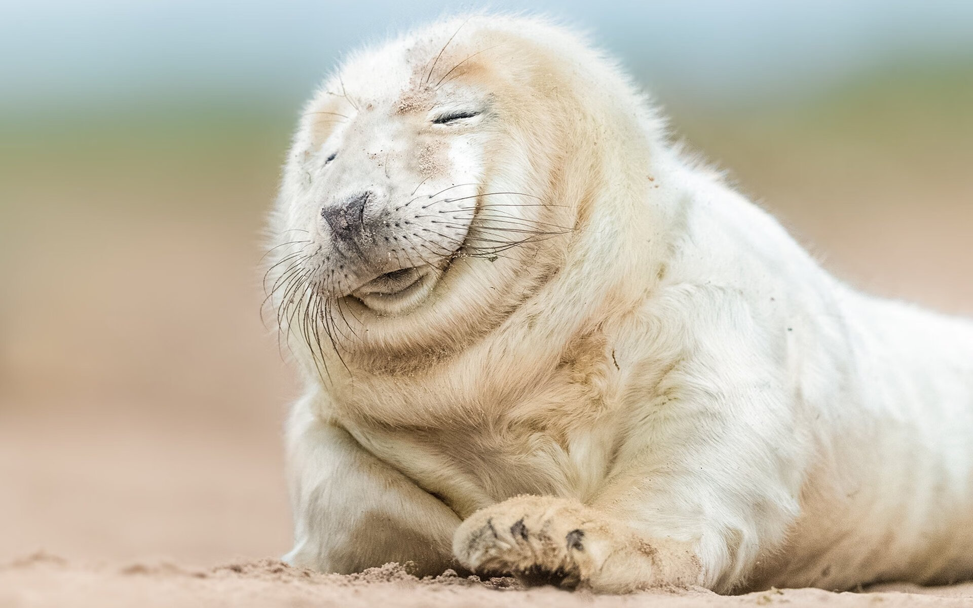 球迷组织举办观赛交流活动打造社区式观赛新体验，观看球赛心得