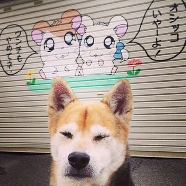 英超球星对决：技巧与身体的极限较量，英超身体对抗最好的球员