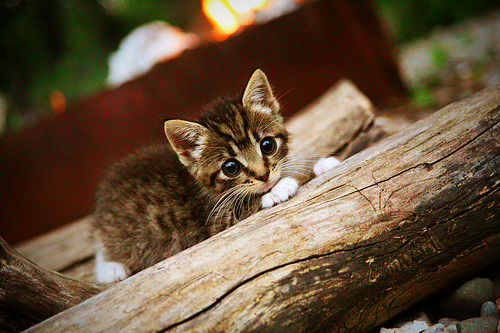 青少年足球训练实现大数据精准管理，培养高潜人才，青少年足球训练大纲 中国足协