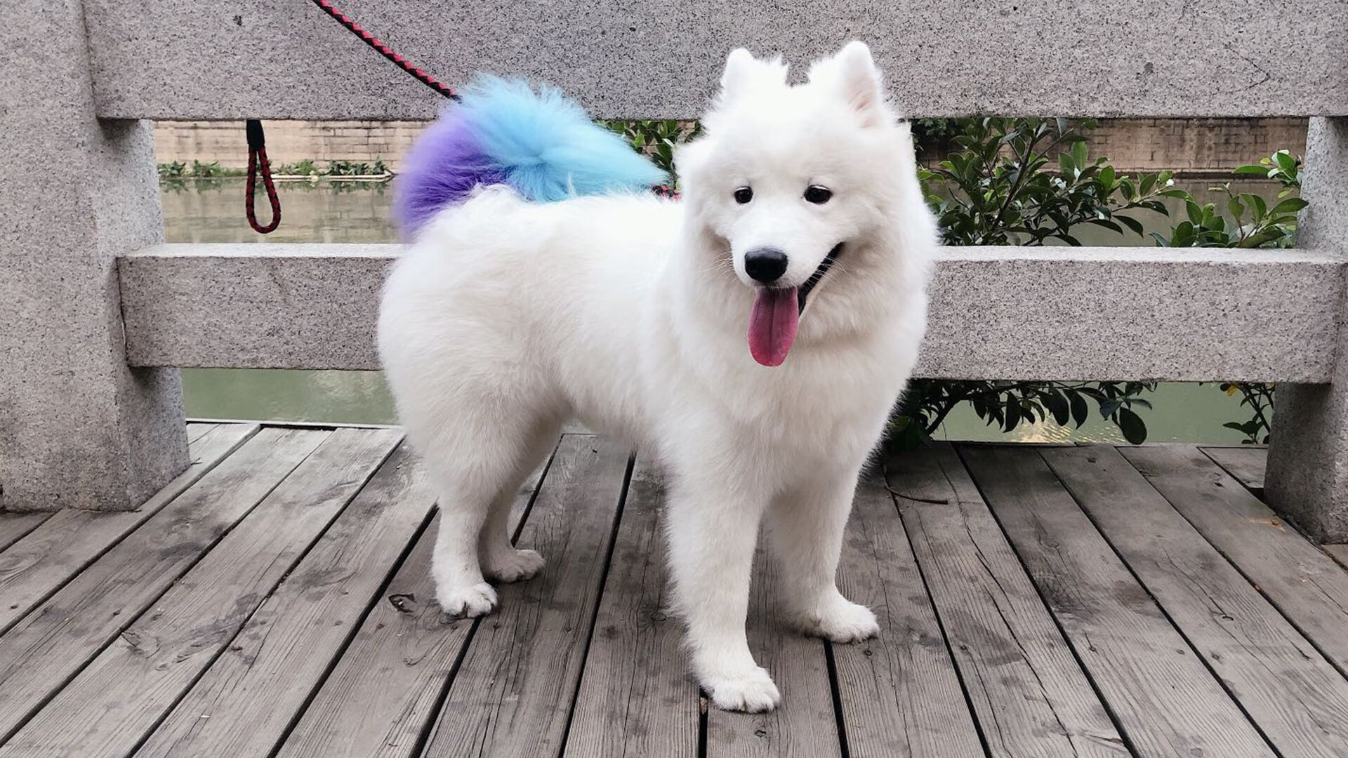 中超联赛俱乐部青训合作模式，中超青训梯队